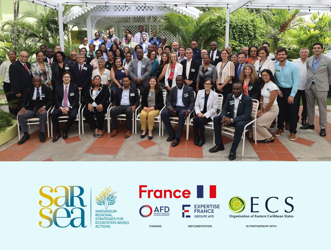 Official kickoff of the SARSEA Project: Enhanced Regional Cooperation to tackle the Challenge of Sargassum in the Caribbean
