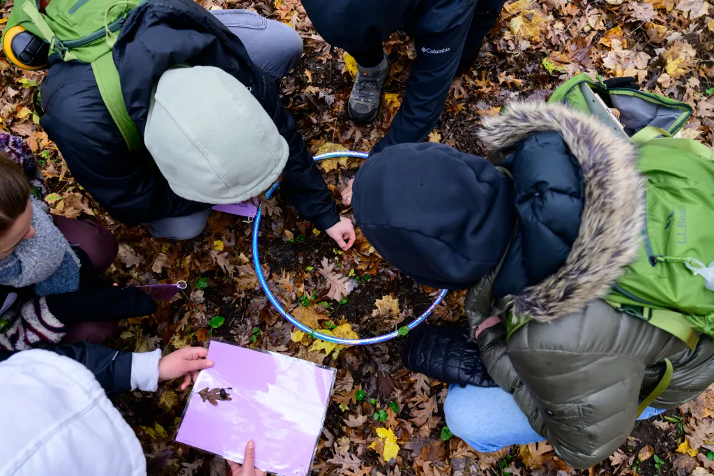 Hamline U, Manitou Fund partner in nature-based teacher training