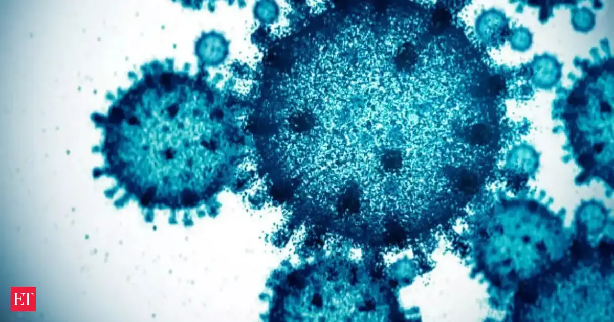 New Covid strain found in moustached bats — scientists fear it’s been spreading for months