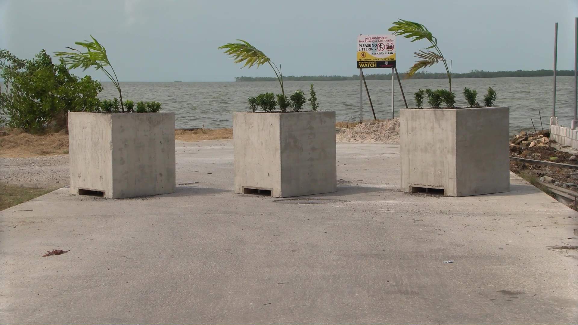 Hangar Reopens Amid Legal Battle and Privatization Fears