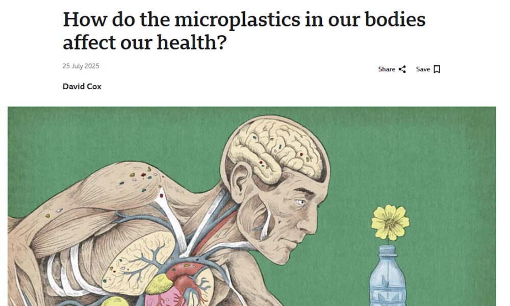 ONCOLOGIST POINTS TO POTENTIAL PERILS OF PLASTIC FOOD CONTAINERS