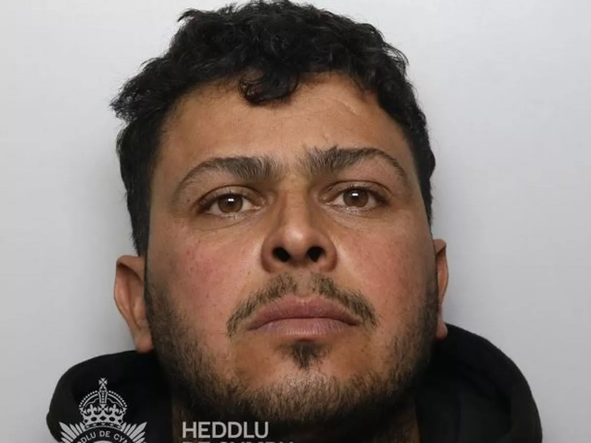 Asylum seeker followed young woman and sexually assaulted her under a Cardiff bridge