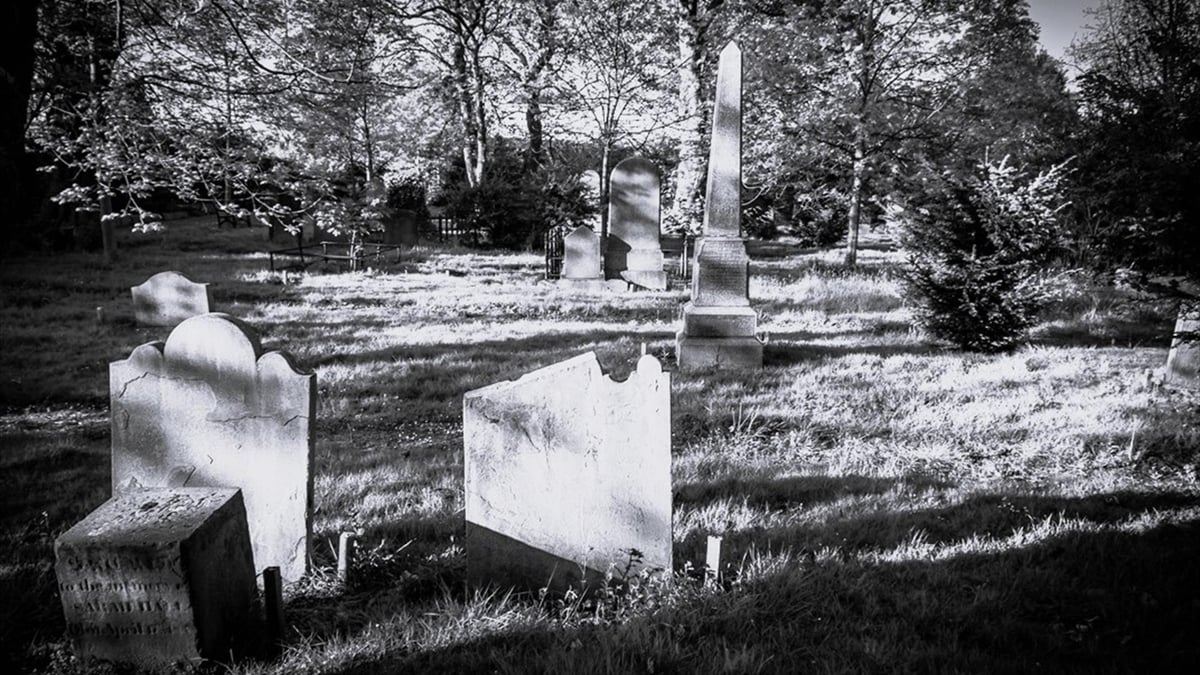 Here are 10 great activities on in Northern Ireland over Hallowe'en