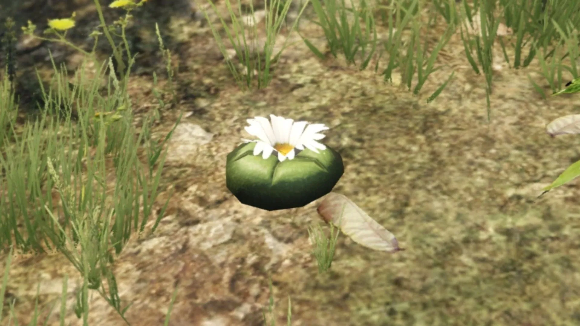 Peyote Plants locations in GTA Online Halloween 2025
