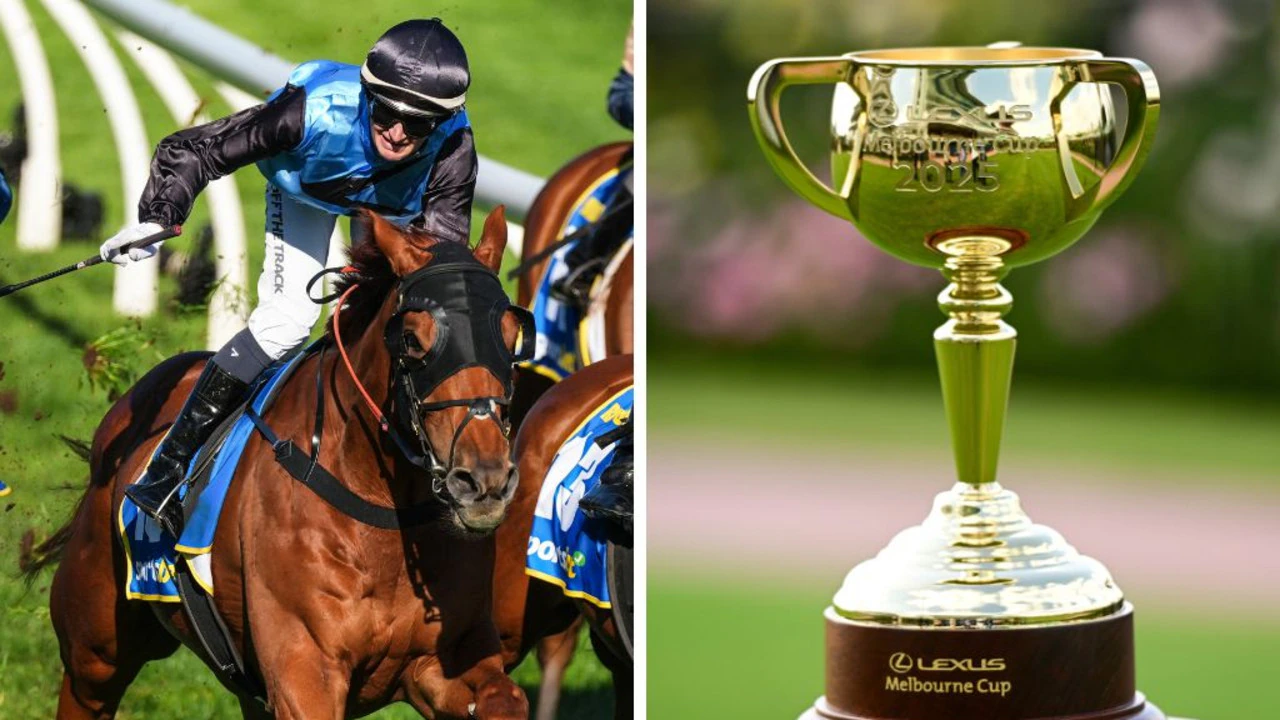Melbourne Cup form guide 2025: Every horse rated by racing expert Mitch Lewis