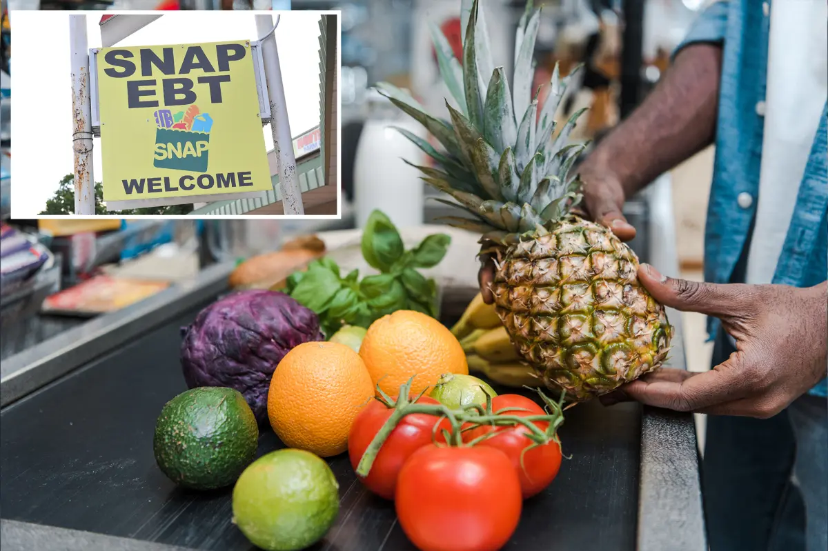 USDA announces no federal SNAP benefits will be delivered over government shutdown, blames Democrats