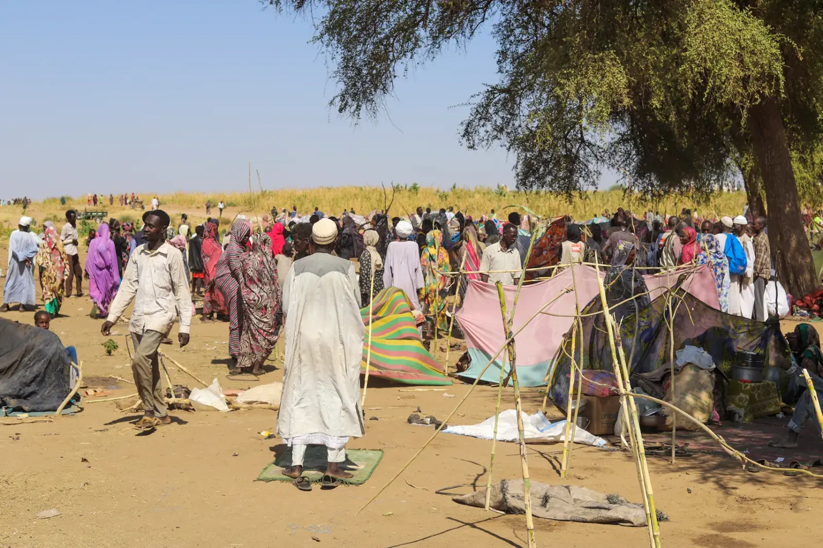 Sudan's Civil War: The Brutal Conflict Explained After Darfur Falls to RSF