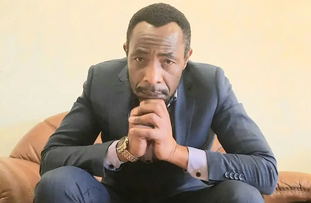 No room for mischief in constitutional interpretation: A respectful rebuttal to Tawanda Nyambirai