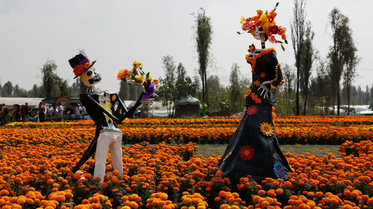 Mexico’s orange bloom of the Day of the Dead faces a growing climate threat