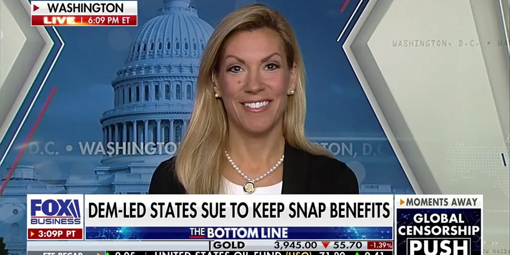 Democrats need to 'grow up' and 'do their job,' says Rep. Beth Van Duyne