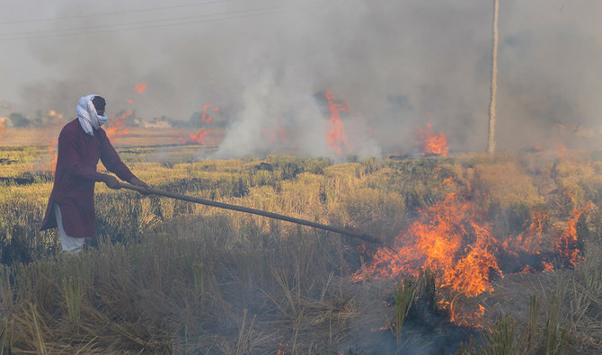 Environmental concerns rise amid unchecked development and crop-burning practices in Punjab