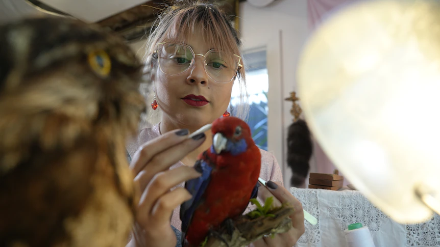 Glass eyes, roadkill and preservation: Behind the scenes of taxidermy