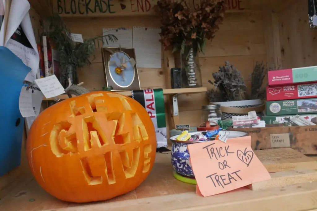 ‘Grateful’: Revelstoke flower stand reels in $8.5K to support Gaza relief