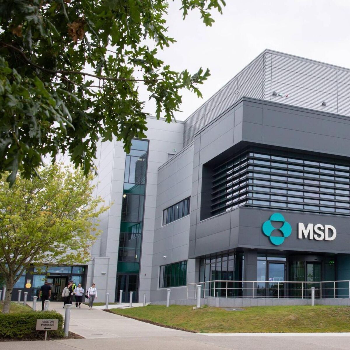 MSD beats revenue expectations amid pivot to new drugs