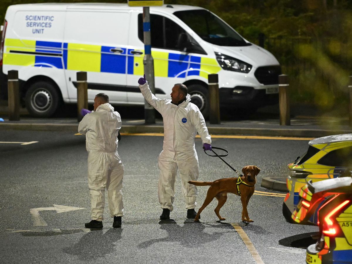 Everything we know about Huntingdon train stabbings suspects