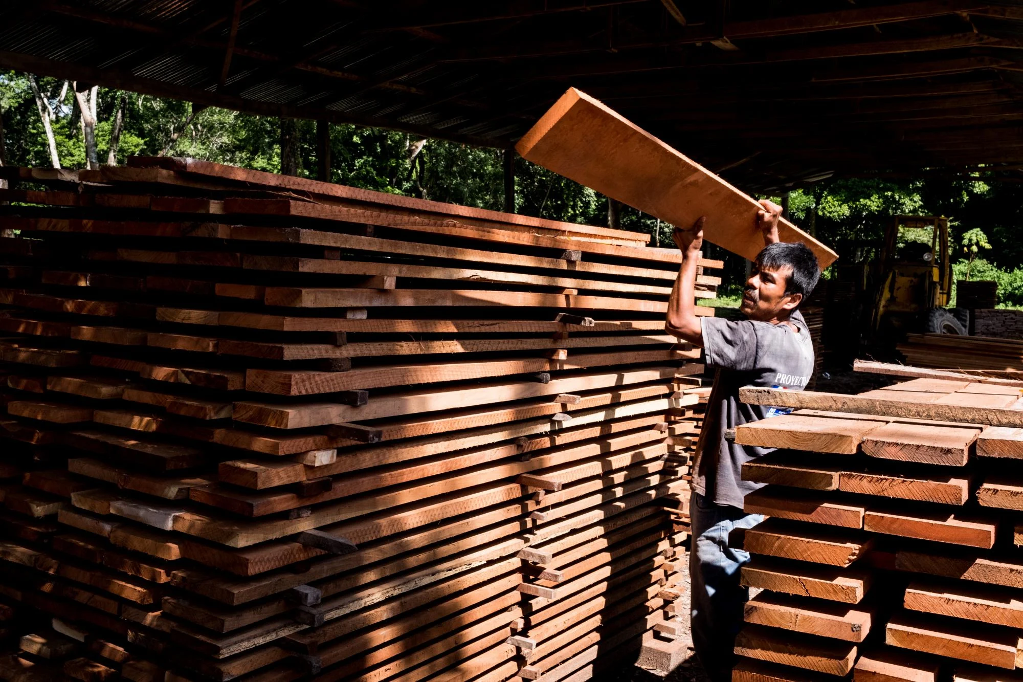 Can wood be good? Green forestry standards demystified, from FSC to SFI