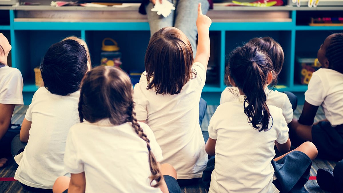 Kindergarten kids offered non-binary gender pronouns by education department in one Aussie state