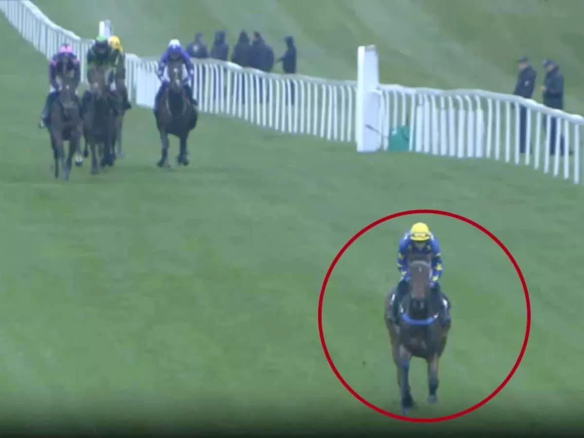 'I bought him from where I got Best Mate' - Loustic Du Chatel impresses as riders quizzed