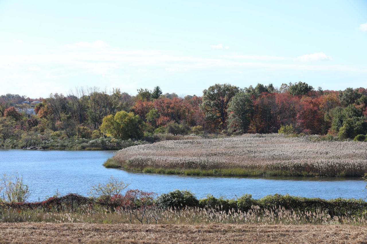 Once an environmental nightmare, a landfill is returned to nature. And Staten Islanders. | From the editor