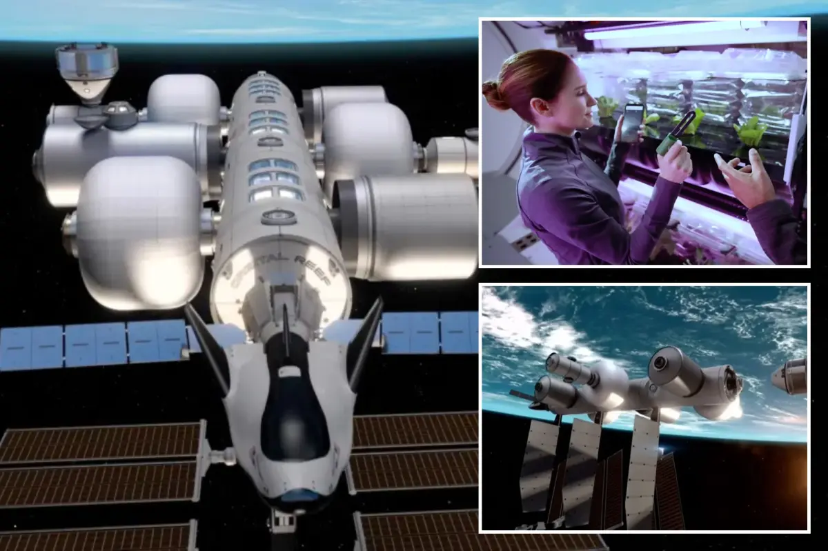 Jeff Bezos wants to send people to live in space