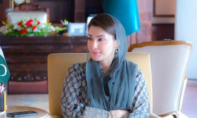 Maryam urges US investors to invest in Punjab