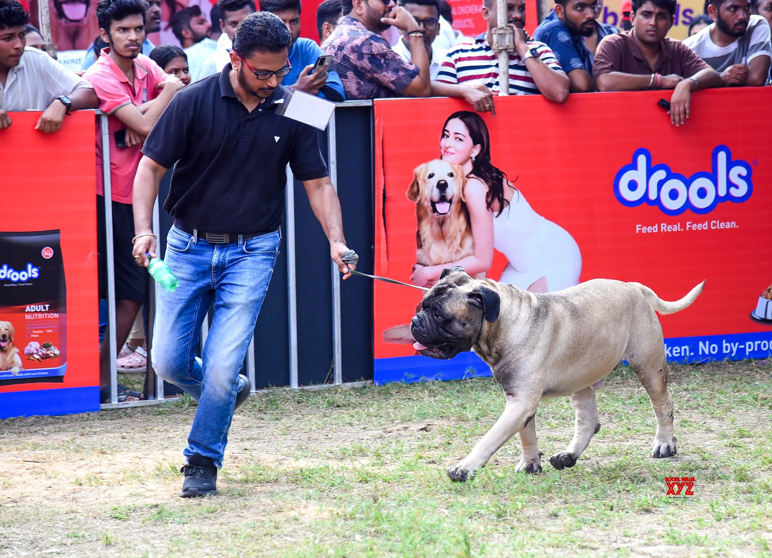 Dogs Compete in Nagpur Dog Show #Gallery