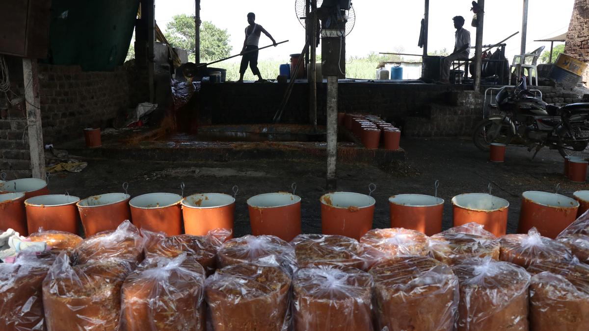 Maharashtra’s move to regulate jaggery industry draws mixed response
