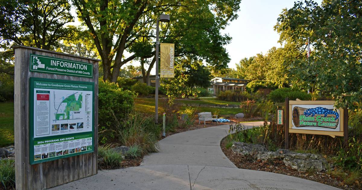 Listen: Will County’s 5 most-read stories this week, Oct. 26-Nov. 1