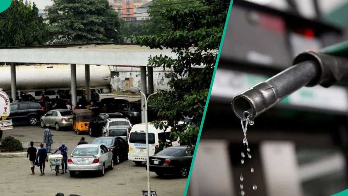 Find out more as private depots slash petrol price below Dangote rate