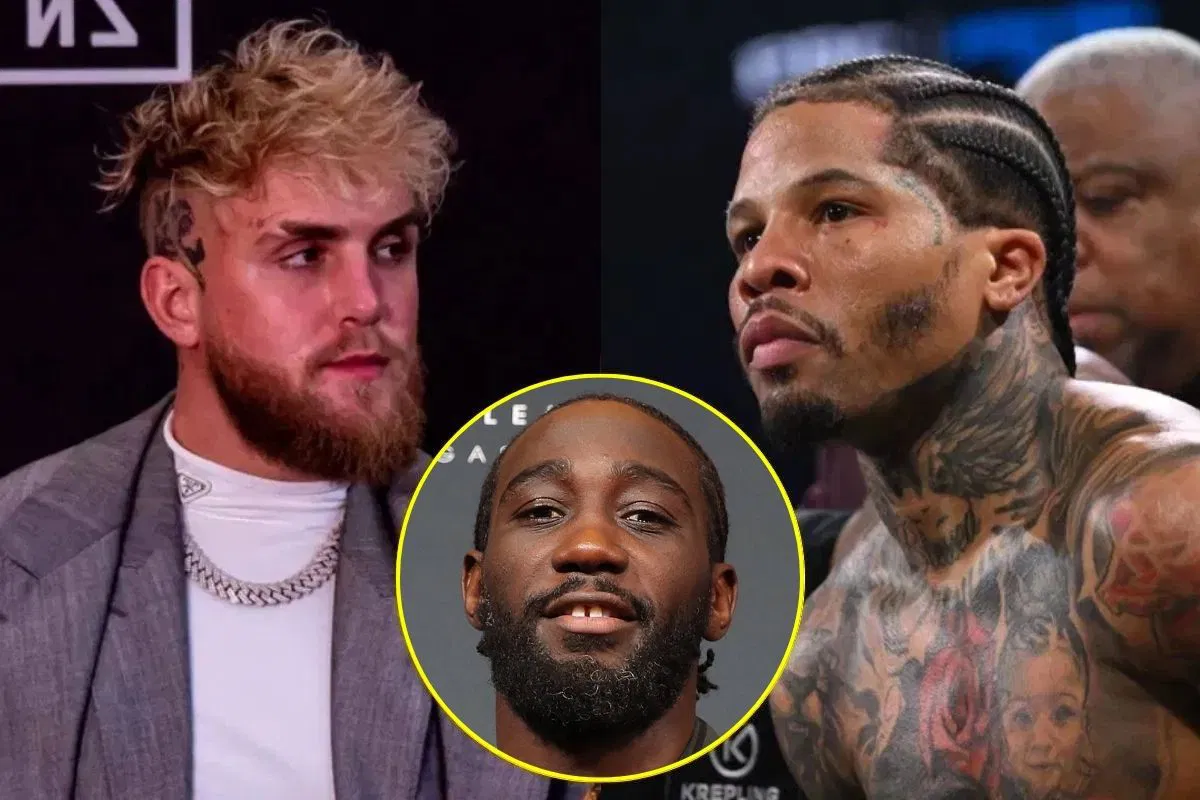 Is Jake Paul vs. Gervonta Davis Canceled? All About Terence Crawford, Francis Ngannou, and Other Potential Replacement