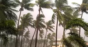 AP Suffers ₹5,244 Core Loss Due To Cyclone Montha: CS Report