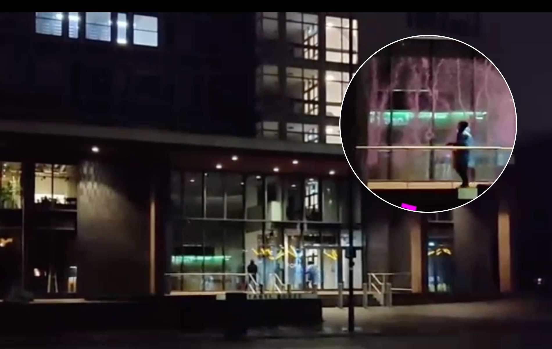 Protest group vandalises EHRC HQ over controversial trans guidance: ‘We will not stop until we are free’