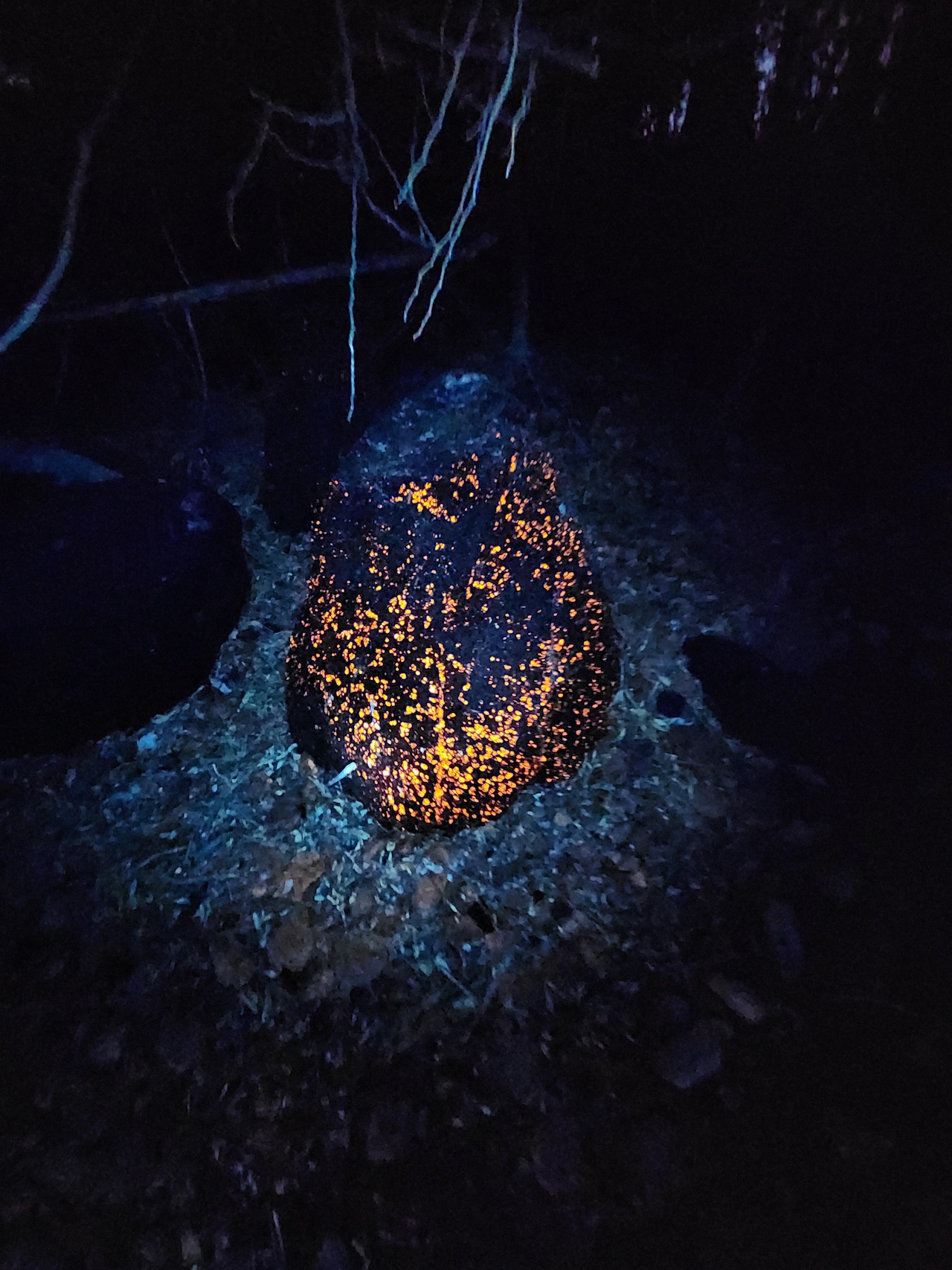 U.P. park has Michigan magic on its shorelines: See the state’s largest Yooperlite