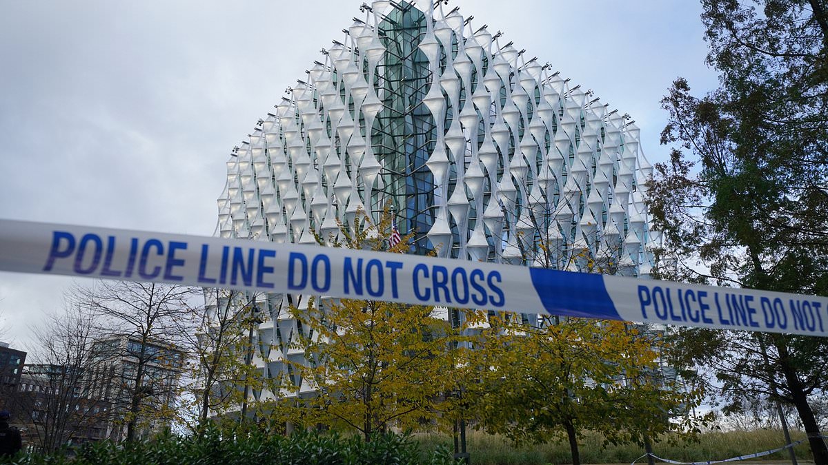 'Bomb hoaxer' sent US embassy into lockdown after placing 'device' outside he claimed was 'art'