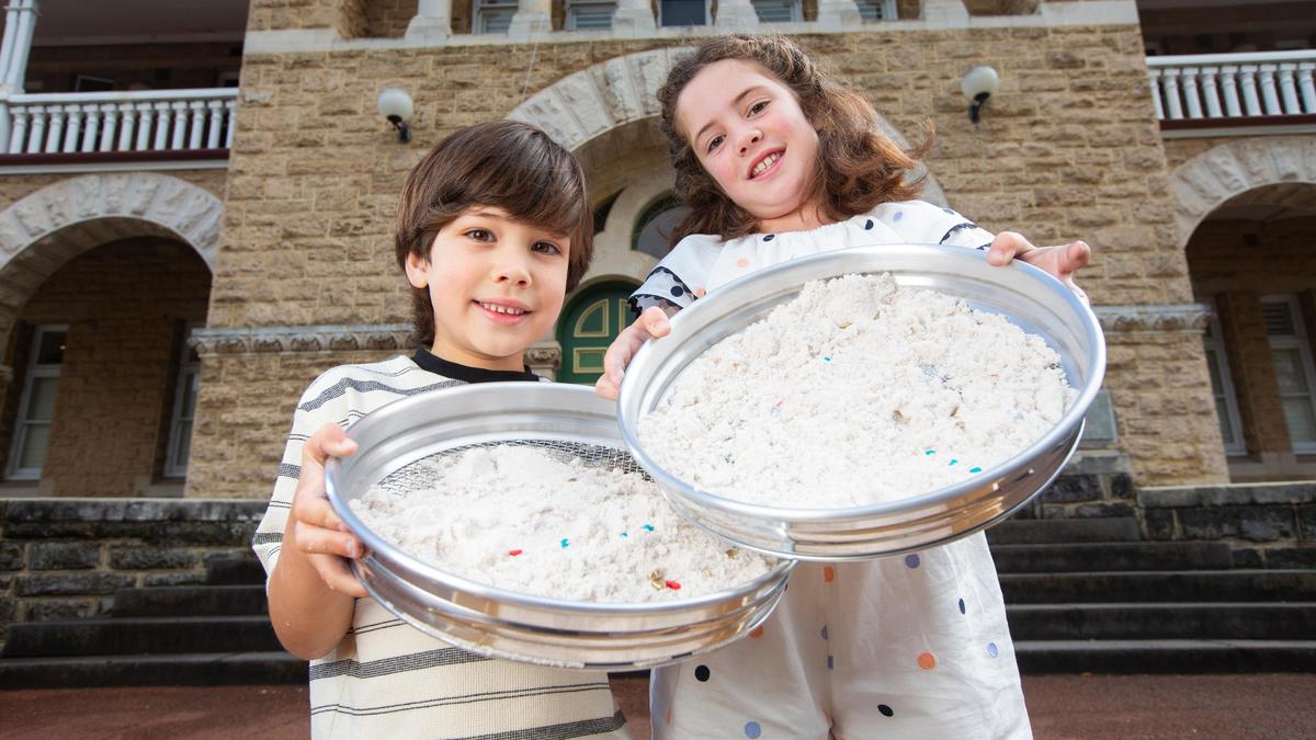 WA Day Festival: Scitech, Synergy and Alcoa among innovators offering interactive experiences for families