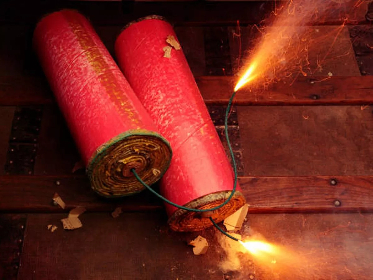 Local community “very angry” as dog dies in “shocking and cruel” incident involving firework in Meath