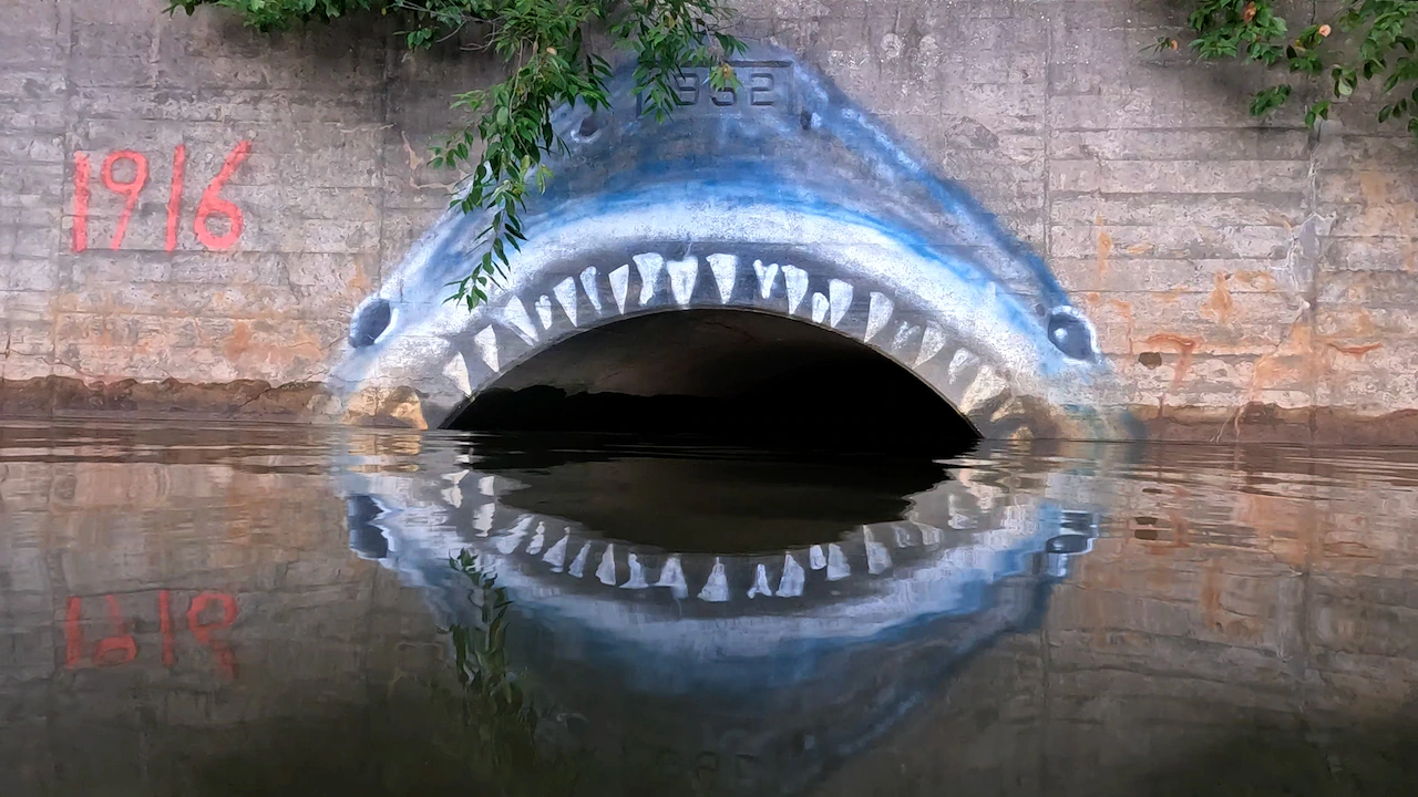 How nearby N.J. became a great American shark state