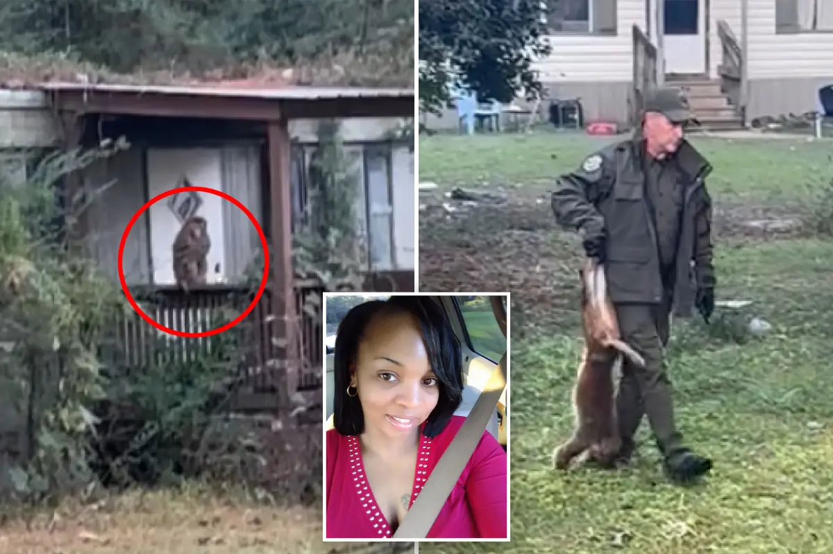 Mississippi mom shoots dead monkey that escaped from overturned truck to protect her children