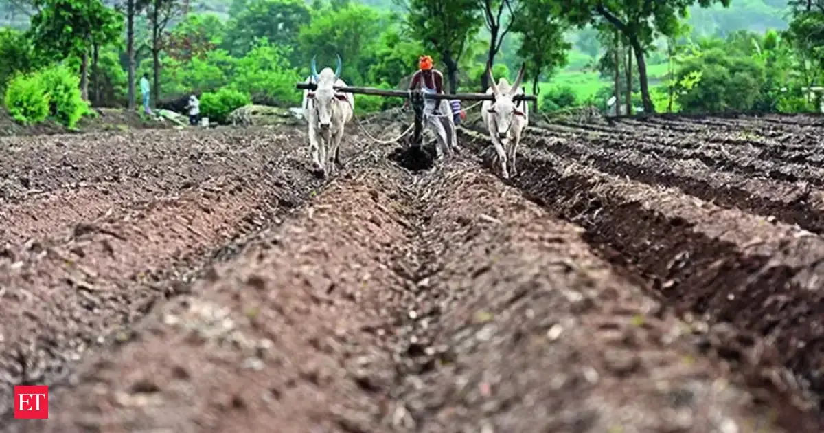 Policy push tariff hike on peas may boost pulses sowing in Rabi