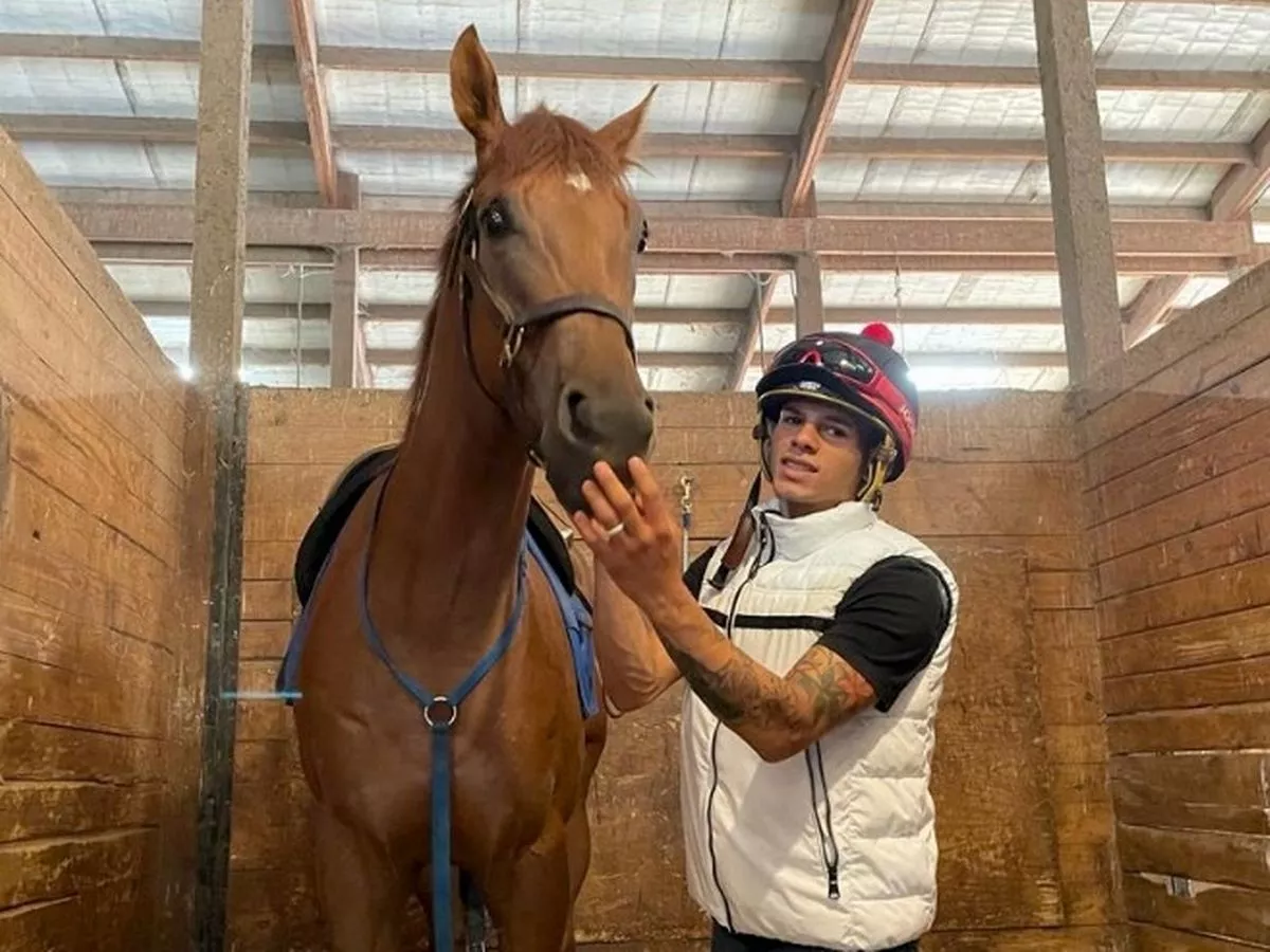 Jockey, 30, banned for TEN years after stewards rule he was in possession of electrical device