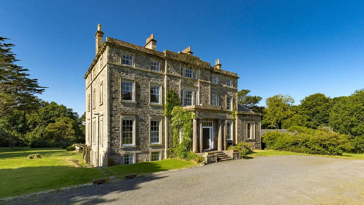 Opulent 15-bedroom mansion goes up for sale for less than the price of two-bed Mayfair flat - but there's a catch about the property's location