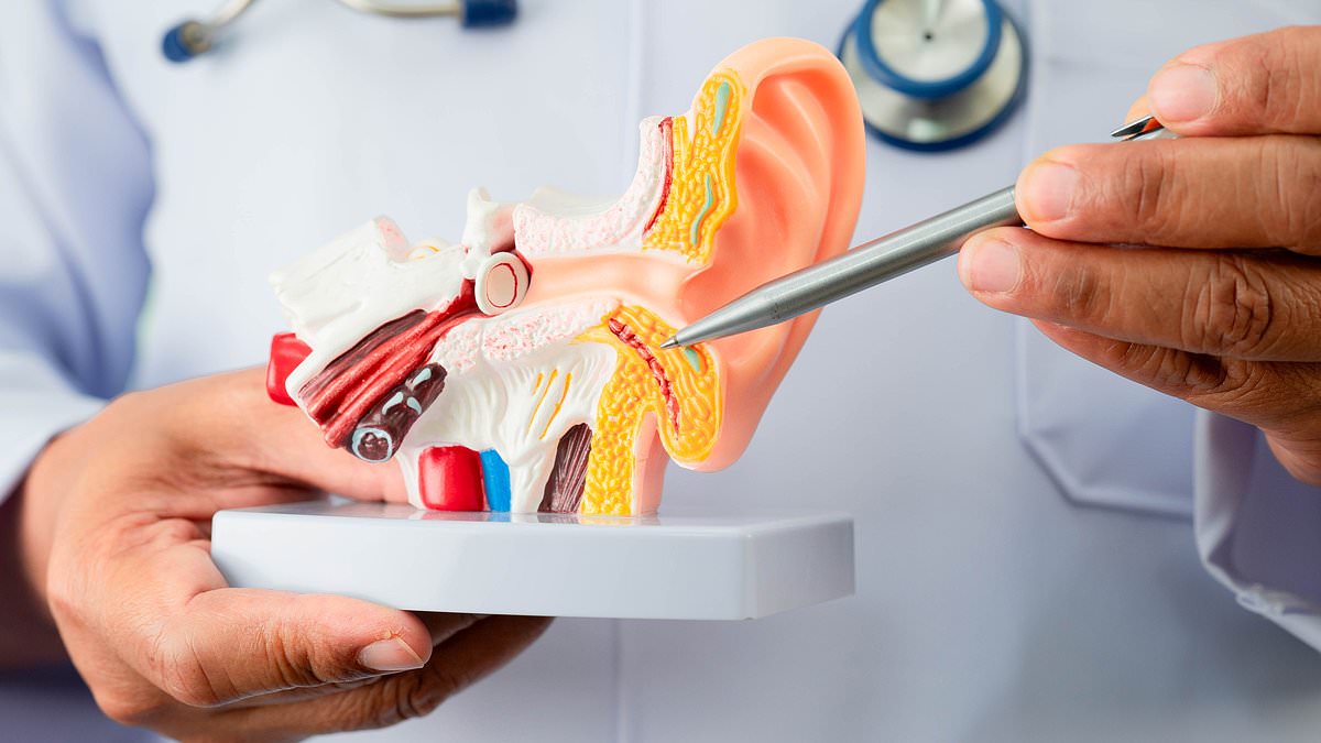 Hot News_tariffs news_big country news_anyfans news