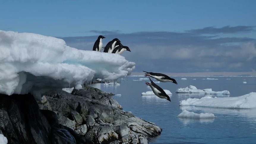 Russia's interest in Antarctic oil exposed after scientist's arrest