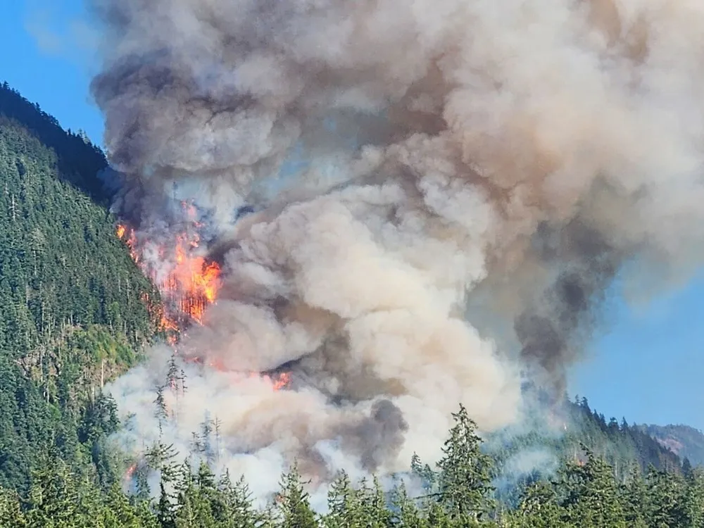 1,400 annual deaths linked to wildfire smoke in Canada: Climate and health report