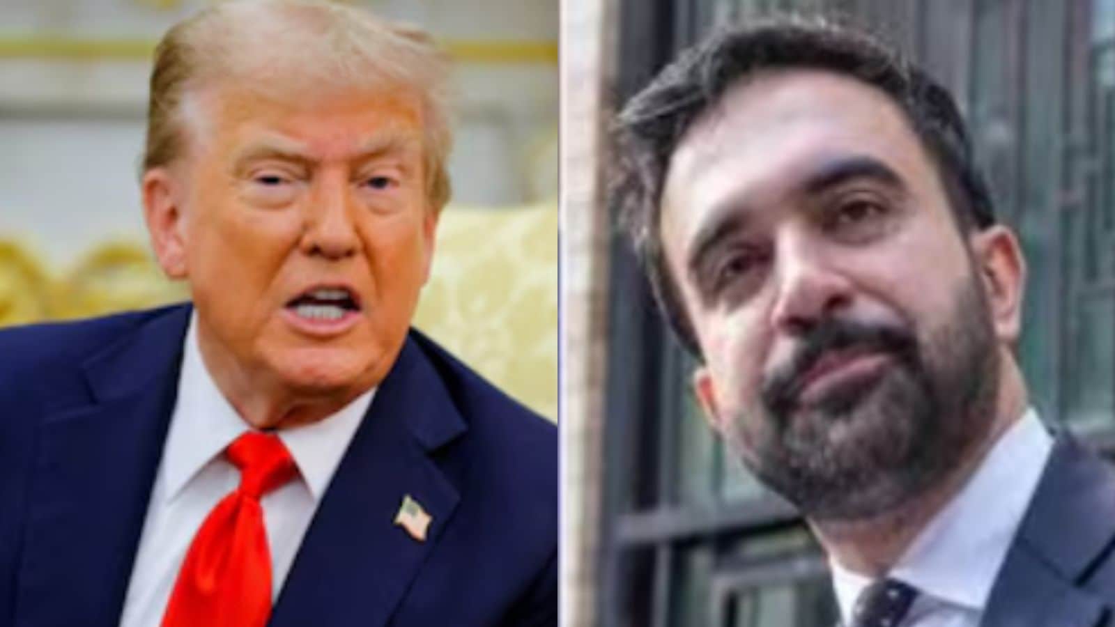 'Much Better Looking Person': Trump On Is Zohran Mamdani 'Left-Wing Version' Of US President