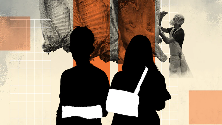 Holiday workers risking injury so Australians can get meat