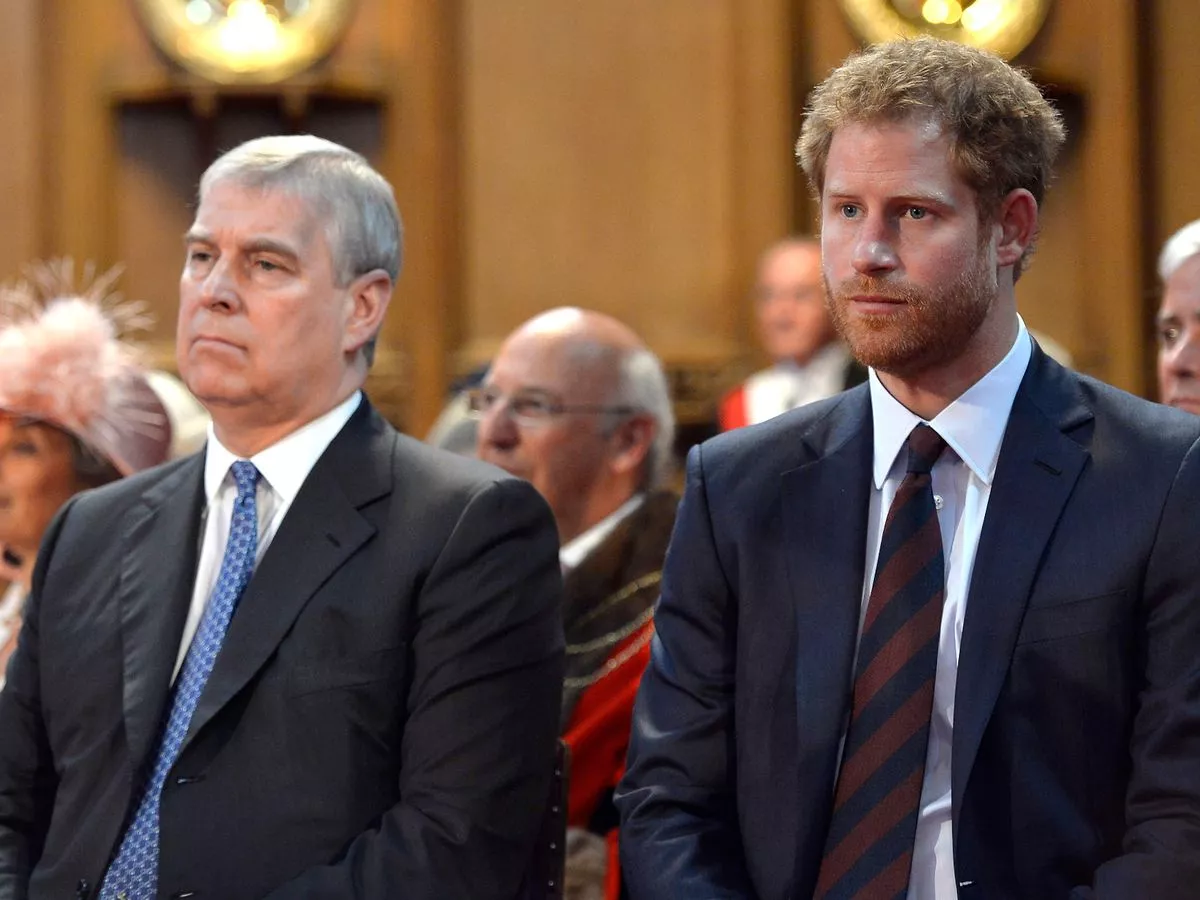 Prince Harry's blistering feelings on Prince Andrew laid bare after Meghan vow