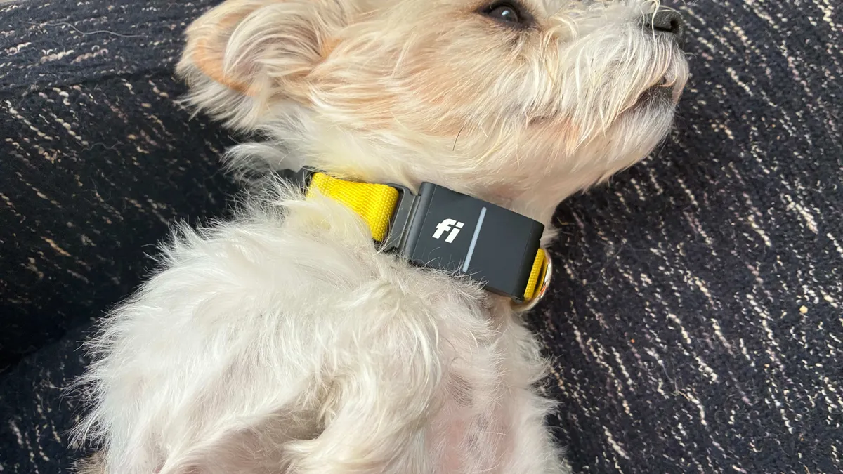 The Ultimate Pet Tech Roundup: CNET’s Pet Owners Tested Every Device to Find the Best