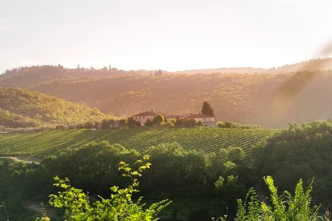 Tuscany’s Castello Fonterutoli’s IPSUS Advances The Idea Of 100% Sangiovese