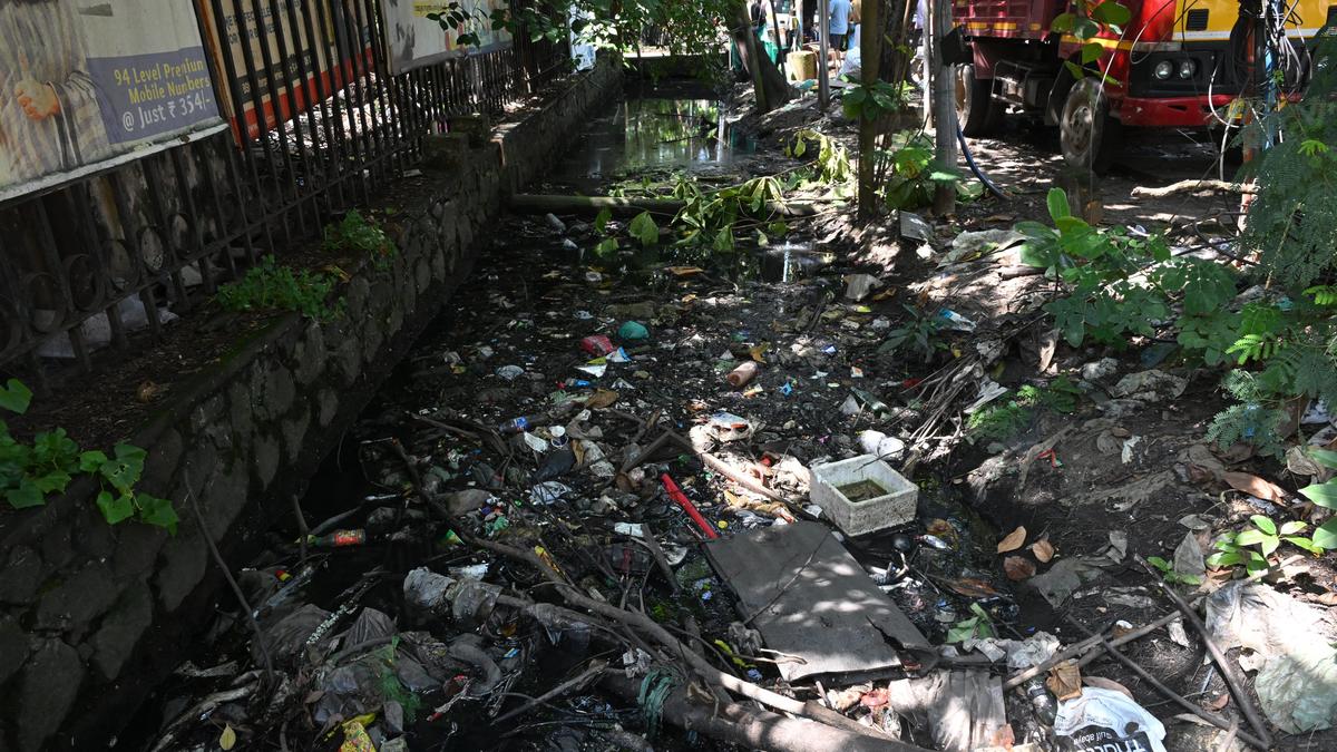 Ernakulam records two dengue deaths in October